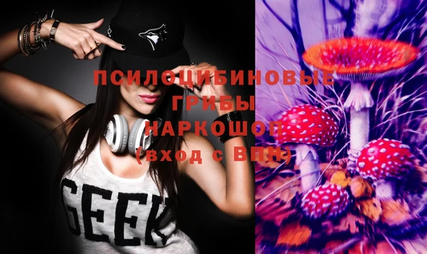apvp Арсеньев