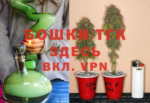 apvp Аркадак