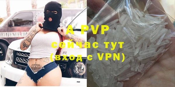 apvp Арсеньев
