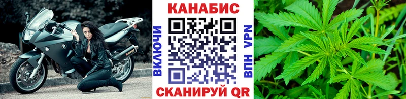 магазин продажи наркотиков  Новый Оскол  Конопля гибрид 